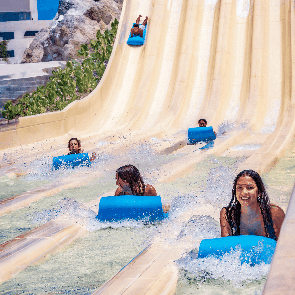 Dominican Resident Admission 8