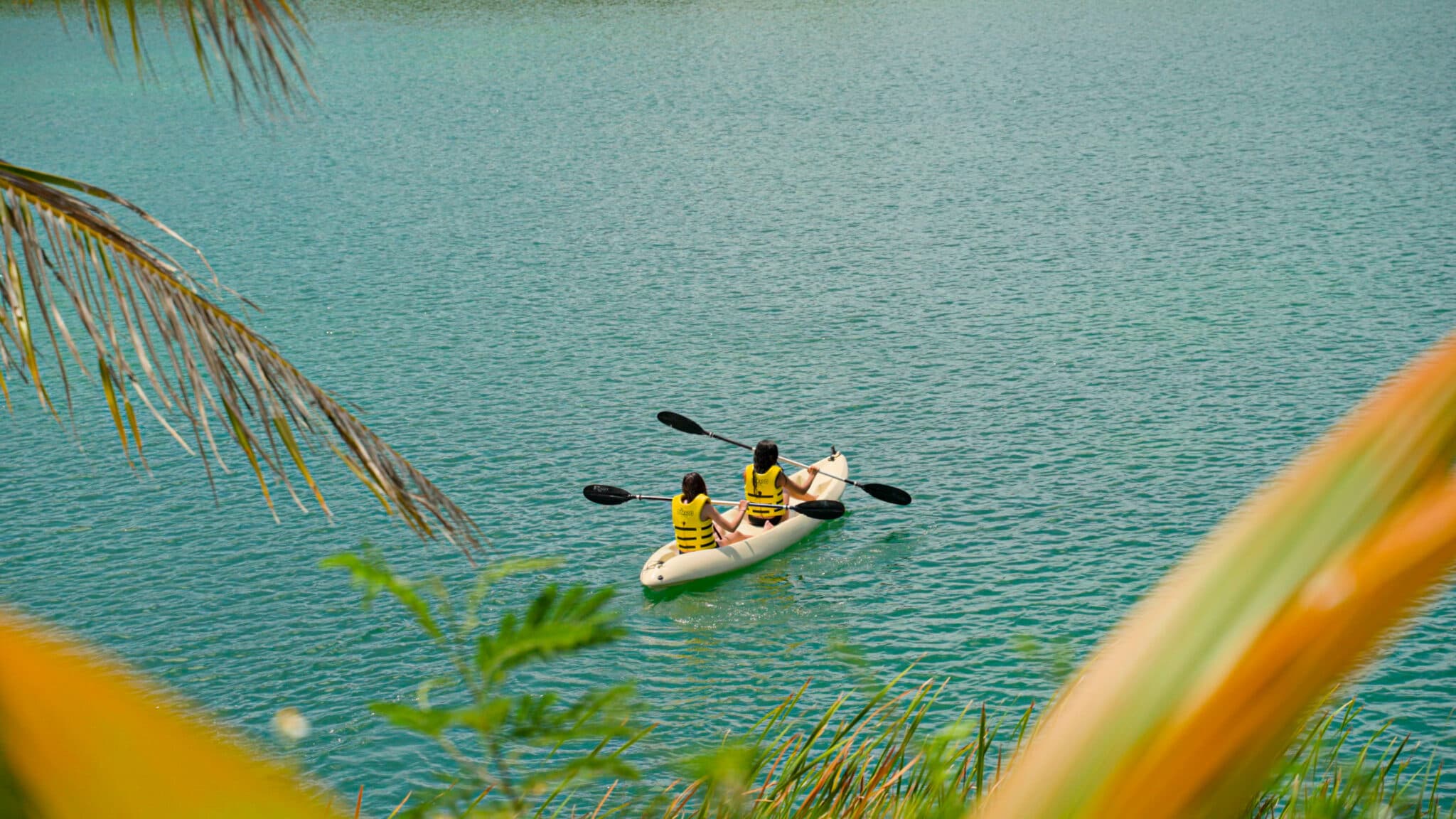Kayak